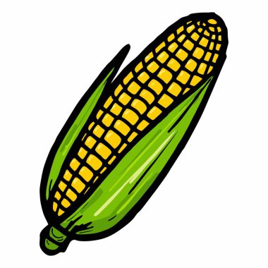 Taze haşlanmış mısırın resmi