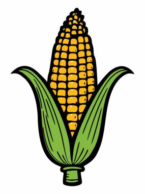 Taze haşlanmış mısırın resmi