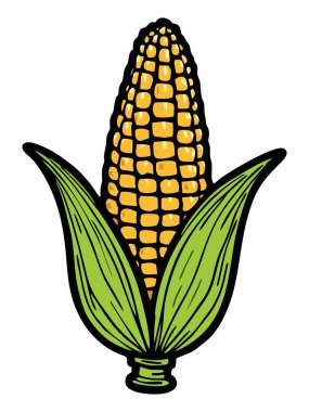 Taze haşlanmış mısırın resmi