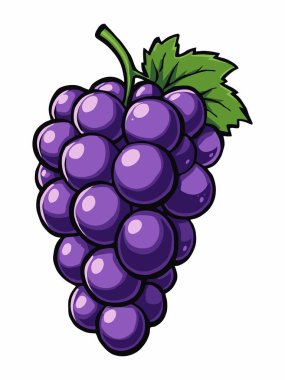 Yeşil yapraklı mor üzümlerin tasviri