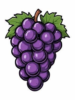 Yeşil yapraklı mor üzümlerin tasviri