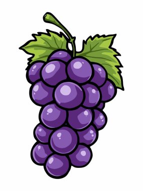 Yeşil yapraklı mor üzümlerin tasviri