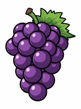 Yeşil yapraklı mor üzümlerin tasviri