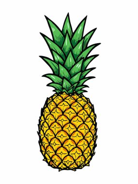 Yeşil taçlı bir ananas tasviri