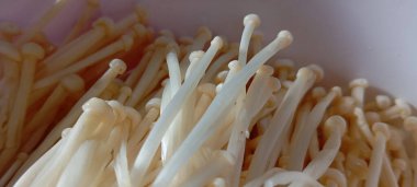 Enoki mantarları (Flammulina velutipes) veya enokitake mantarları veya altın iğne mantarları