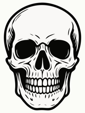 Siyah-Beyaz Ayrıntılı İnsan Kafatası Çizimi