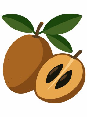 Sapodilla meyve karikatürü vektör çizimi