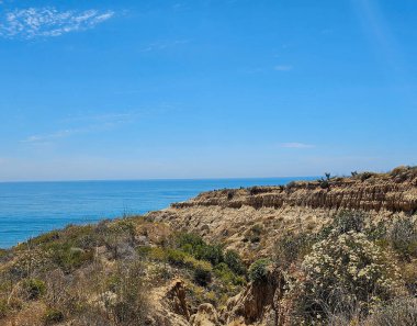 Güneşte kavrulmuş engebeli uçurumlar Pasifik Okyanusu 'nun sonsuz maviliğiyle Kaliforniya' nın parlak gökyüzünün altında buluşuyor. Bulutlar, sert kır çiçeklerinin ve kıyı çalılarının aşınmış kumtaşı araziye tutunduğu kurak arazide sürükleniyor.