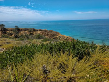 Güney Kaliforniya 'nın engebeli kıyı kayalıklarının manzarası. Altın kayalıkların Pasifik Okyanusu' nun derin mavi sularıyla buluştuğu yer. Kıyı bitki örtüsü katmanları, Chaparral ve succulents dahil, kuru manzaraya yeşil ve sarı renkler ekler ekler.