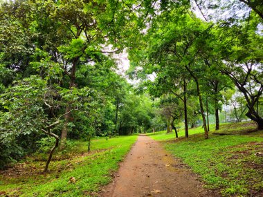Yerli Cerrado bitkisinin domine ettiği verimli bir orman parkında, Copaifera langsdorffii copaiba, Handroanthus spp gibi orta Brezilya 'da yaygın olarak bulunan türler de dahil olmak üzere huzurlu bir toprak yol bulunur. Ipe, ve Anadenanthera colubrina
