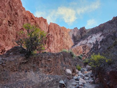 Arjantin 'in Jujuy bölgesindeki Quebrada de Humahuaca bölgesinde Uquia yakınlarındaki Quebrada de las Senoritas' ın çarpıcı kaya oluşumları boyunca engebeli bir yol esiyor. Kanyon, kızıl ve gri tortulu kayalardan oluşan dik, katmanlı duvarları ortaya çıkarır.