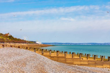 Eastbourn, sakin bir sahil sahnesinde bir çakıl taşı sahili, sakin sulara uzanan ahşap damızlıklar, uzak bir dönme dolap ve parlak mavi gökyüzünde süzülen martılar..