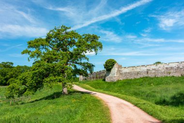 Askham, sakin kırsal yol. Açık mavi gökyüzünün altında antik taş duvarın yanında ağaç var.