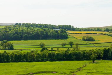 Askham. Bereketli otlakların, dolambaçlı taş duvarların dağınık ağaçların ve uzak bir ormanın olduğu huzurlu bir kır manzarası. Doğa, tarım ya da seyahat temaları için mükemmel. Huzur, açıklık ve kırsal yaşam için..