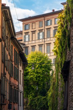 İtalya 'nın Bergamo şehrinde güneş gören bir Avrupa sokağı. Pastel cepheler, kepenkleri kapatılmış pencereler ve yemyeşil yeşillikler çerçeveli. Klasik mimari, tırmanma sarmaşığı ve sakin bir sokak sahnesi eski kasaba cazibesini ve zamansız şehir yaşamını çağrıştırıyor..
