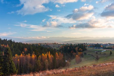 Manzaralı bir Altın Polonya Sonbahar manzarası, açık mavi gökyüzünün altındaki küçük bir Buflak köyüne doğru uzanan altın ve yeşillik ormanları gösteriyor. Yumuşak tepeler ve uzak dağlar huzurlu, pastoral bir ortam yaratır..