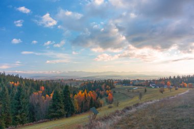 Manzaralı bir Altın Polonya Sonbahar manzarası, açık mavi gökyüzünün altındaki küçük bir Buflak köyüne doğru uzanan altın ve yeşillik ormanları gösteriyor. Yumuşak tepeler ve uzak dağlar huzurlu, pastoral bir ortam yaratır..