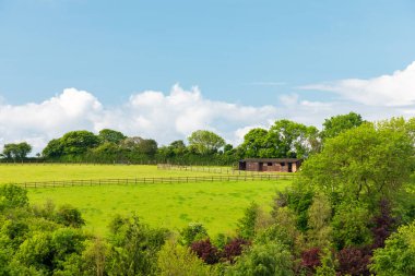Devon 'da parlak bir kır manzarası, uzun ahşap çitler, küçük bir ahır ve açık mavi gökyüzünün altındaki ağaçlar tarafından çerçevelenmiş yemyeşil alanlar. Çiftlik, doğa ve açık hava yaşam temaları için mükemmel..
