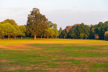 Bracknell, Berkshire 'da sakin bir South Hill Parkı. Sıcak akşam ışığında yıkanan dağınık ağaçlar ve yeşil-kahverengi bir tarla. Doğa, rahatlama ya da eğlence amaçlı görüntüler için uygun sakin bir doğa. Güneşin doğuş saatinde altın saat.