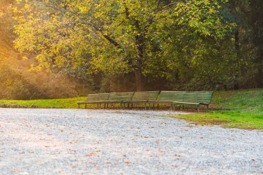 Milano 'da sakin bir park sahnesi. Çakıl yolu boyunca bir sıra ahşap banklar ve yemyeşil bir ağacın altında. Ilık sonbahar ışığı, doğada dinlenmek ve sakin anlar için huzurlu bir ortam yaratır..