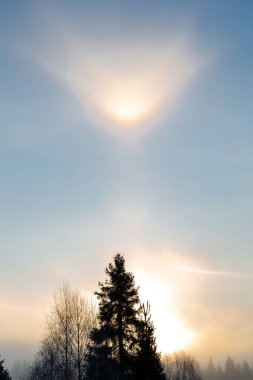 Sabah ışığı sisli gökyüzünü delip geçer. Yumuşak, sisli ufukta yükselen ağaçların siluetleri, optik fenomenler yaratır. Huzurlu, huzurlu bir sahne. Şafak vakti sessiz güzellikleri yakalıyor.