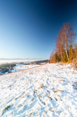 Sağında bir sıra çıplak ağaç olan karla kaplı bir yamaç, uzak bir köy ve engin mavi bir gökyüzü. Sıcak ışığın manzaraya dokunduğu sakin bir kış manzarası.