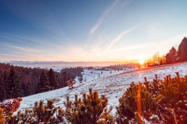 Karla kaplı tepeler, çam ağaçları ve sıcak bir günbatımının altında küçük bir ahşap barınağın yer aldığı sakin bir kış manzarası. Parlak gökyüzü ve uzak dağlar doğa ve seyahat projeleri için sakin ve zamansız bir atmosfer yaratıyor..