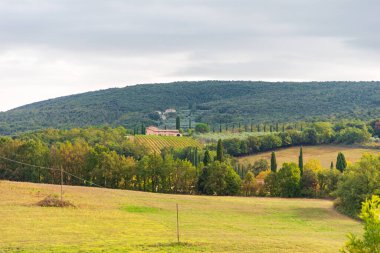 Monteriggioni, Monteriggioni bölgesi, Toskana, İtalya tepeleri arasında selvi ağaçlarıyla çevrili bir ev. Ön planda renkli alan, arka planda orta ve geleneksel İtalyan binaları siğil ağaçları