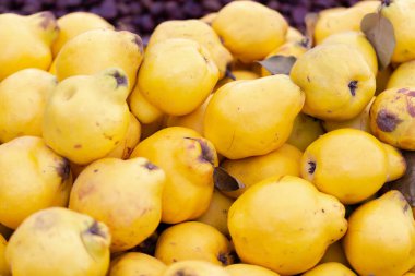 Açık sarı renkli taze ayva yerel gıda pazarında satışa sunuldu.