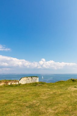 Dorset 'teki Studland yakınlarında yaşlı Harry Rocks. İngiliz turist eğlencesi. Güneşli bir günde beyaz kayalıklar