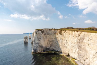 Dorset 'teki Studland yakınlarında yaşlı Harry Rocks. İngiliz turist eğlencesi. Güneşli bir günde beyaz kayalıklar