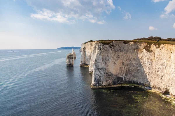 Dorset 'teki Studland yakınlarında yaşlı Harry Rocks. İngiliz turist eğlencesi. Güneşli bir günde beyaz kayalıklar