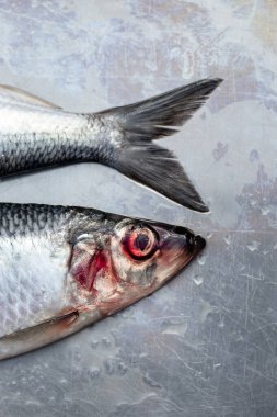 Metalik bir yüzeye serilmiş üç çiğ ringa balığının detaylı bir yakın çekimi. Gümüş pullar, üstteki koyu renk değişimi, ve göz ve solungaçların etrafındaki kırmızı renk tazeliği ve doğal dokuyu vurguluyor..