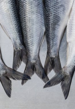 Beş ringa balığının kuyruğu düz bir tahta üzerinde yan yana asılı, metalik pullar ve simetri sergiliyor. Deniz ürünleri, market, balıkçılık veya mutfak temalı hisse senedi imgeleri için ideal.