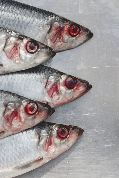 Detaylı bir yakın plan taze ringa balığı görünür su damlacıklarıyla metalik bir yüzeyde sergileniyor. Görüntü balık pullarını, yüzgeçlerini ve çarpıcı kırmızı gözleri vurguluyor, dokuyu, tazeliği ve doğal detayları yakalıyor. Mutfak temaları için ideal, se