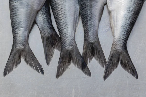 Beş ringa balığının kuyruğu düz bir tahta üzerinde yan yana asılı, metalik pullar ve simetri sergiliyor. Deniz ürünleri, market, balıkçılık veya mutfak temalı hisse senedi imgeleri için ideal.