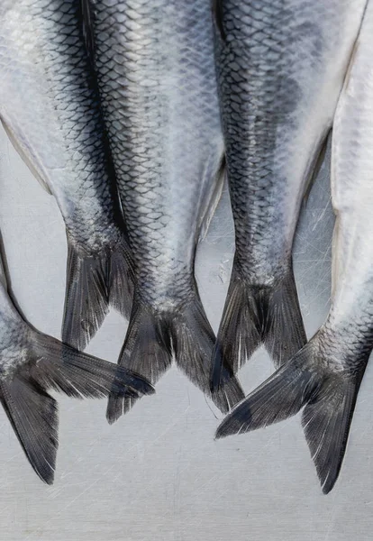 Beş ringa balığının kuyruğu düz bir tahta üzerinde yan yana asılı, metalik pullar ve simetri sergiliyor. Deniz ürünleri, market, balıkçılık veya mutfak temalı hisse senedi imgeleri için ideal.