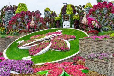 Dubai, Birleşik Arap Emirlikleri, BAE - 27 Mart 2024: Dubai Mucize Bahçesi, Dubai 'deki en popüler turistik merkezlerden biri. Büyük bir çiçek saati, parlak çiçek duvarları ve dekoratif tavus kuşu heykelleri içeren canlı bir bahçe sahnesi. Yemyeşil