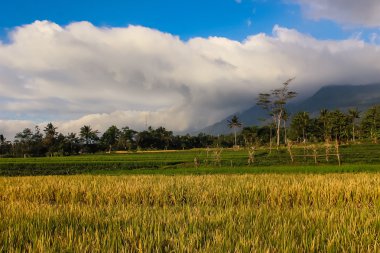 PADI alan ile güzel dağ manzara
