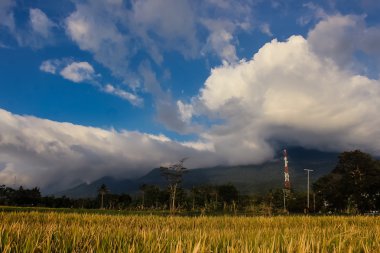 PADI alan ile güzel dağ manzara