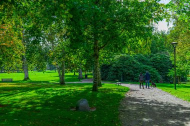 Renkli ağaçlarla dolu huzurlu bir sonbahar parkı ve uzakta köpeklerini gezdiren bir çift..