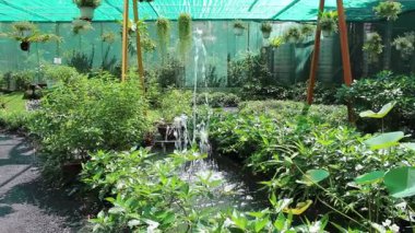 Ho Chi Minh Şehri, Viet Nam - 7 Ağustos 2025 - Saigon Hayvanat Bahçesi (So Thu - Thao Cam Vien Saigon )