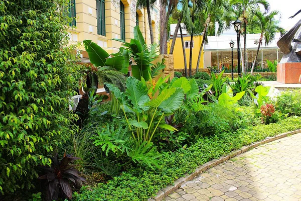 Saigon Merkez Postanesinin (Buu Dien Trung Tam Thanh Pho) 1 Temmuz 2025 'te Ho Chi Minh City, Vietnam' da çekilmiş fotoğrafı: Postanenin önünde bulunan bir çok yeşil bitki ve renkli çiçekli küçük bahçe manzarası.