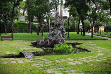 Tao Dan Park 'ın (Cong vien Tao Dan) 21 Haziran 2025' te Ho Chi Minh City, Vietnam 'da çekilmiş fotoğrafı: Ho Chi Minh City' nin en eski parkı olan Tao Dan Park 'taki bitki ve kaya manzarası