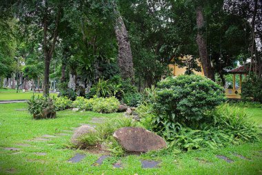 Tao Dan Park 'ın (Cong vien Tao Dan) 21 Haziran 2025' te Ho Chi Minh City, Vietnam 'da çekilmiş fotoğrafı: Ho Chi Minh City' nin en eski parkı olan Tao Dan Park 'taki bitki ve kaya manzarası