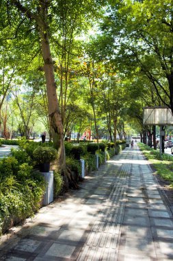 Phan Dinh Phung 'un 26 Ocak 2026' da Ho Chi Minh City, Vietnam 'daki stadyum parkının fotoğrafı: Uzun ağaçlar ve manzaralı yeşilliklerle çevrili huzurlu park yolu. Sahne rahatlamayı, doğayı ve açık hava yaşam tarzını temsil ediyor..