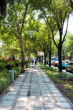 Phan Dinh Phung 'un 26 Ocak 2026' da Ho Chi Minh City, Vietnam 'daki stadyum parkının fotoğrafı: Uzun ağaçlar ve manzaralı yeşilliklerle çevrili huzurlu park yolu. Sahne rahatlamayı, doğayı ve açık hava yaşam tarzını temsil ediyor..