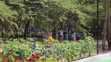 26 Ocak 2026 'da Ho Chi Minh City' deki Phan Dinh Phung stadyum parkının videosu: Gündüz vakti yeşil bir şehir parkında bulunan açık hava fitness alanı. Yeşillik ağaçlar ve bitkiler kamuoyu egzersizi ve dinlenme için ferahlatıcı bir ortam yaratır.