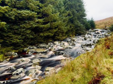 Glendalough, Ireland, Wicklow National Park