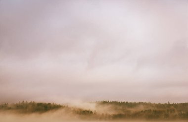 Yumuşak bulutlar ve orman ufkuyla sisli bir atmosferi olan sakin bir manzara.